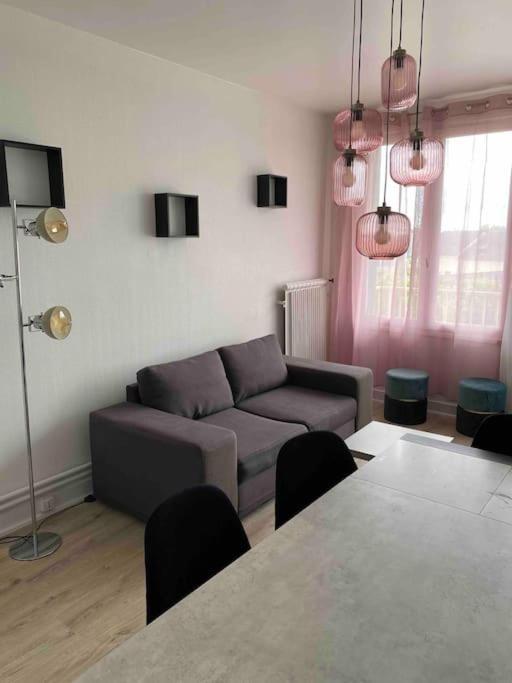 Bel Appartement Centre Ville De Vierzon Exteriör bild