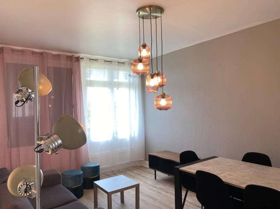 Bel Appartement Centre Ville De Vierzon Exteriör bild
